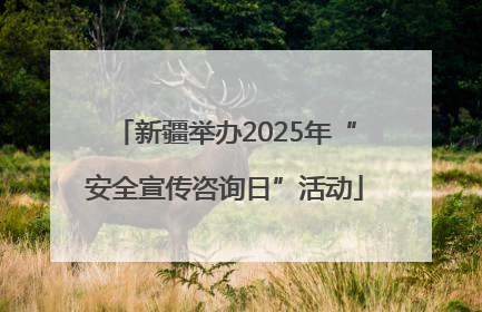 新疆举办2025年“安全宣传咨询日”活动