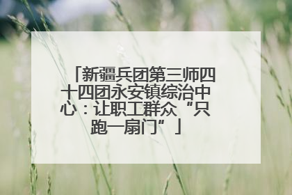 新疆兵团第三师四十四团永安镇综治中心：让职工群众“只跑一扇门”