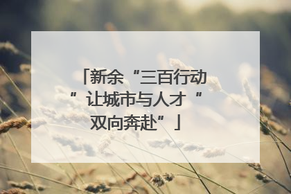 新余“三百行动”让城市与人才“双向奔赴”