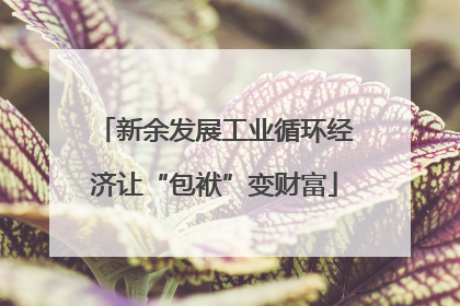 新余发展工业循环经济让“包袱”变财富