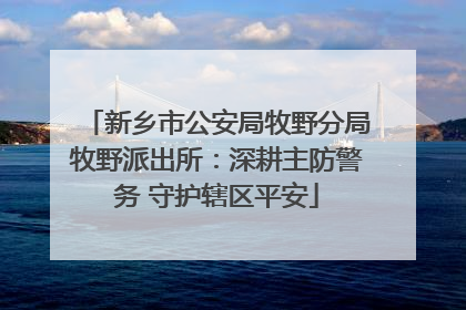新乡市公安局牧野分局牧野派出所：深耕主防警务 守护辖区平安