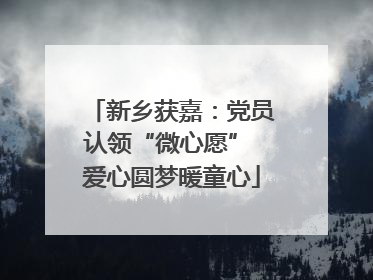 新乡获嘉：党员认领“微心愿” 爱心圆梦暖童心