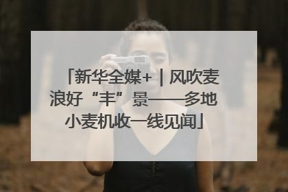 新华全媒+｜风吹麦浪好“丰”景——多地小麦机收一线见闻