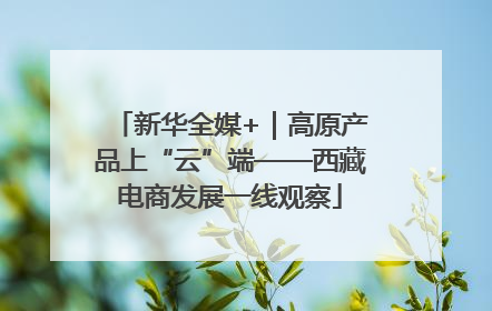 新华全媒+｜高原产品上“云”端——西藏电商发展一线观察
