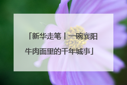 新华走笔丨一碗襄阳牛肉面里的千年城事