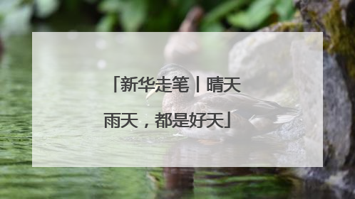 新华走笔丨晴天雨天，都是好天