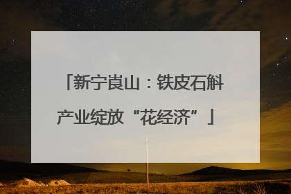 新宁崀山：铁皮石斛产业绽放“花经济”
