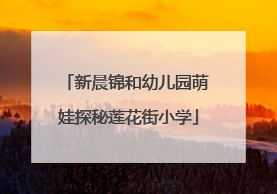 新晨锦和幼儿园萌娃探秘莲花街小学