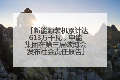 新能源装机累计达613万千瓦，申能集团在第三届碳博会发布社会责任报告