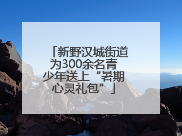 新野汉城街道为300余名青少年送上“暑期心灵礼包”