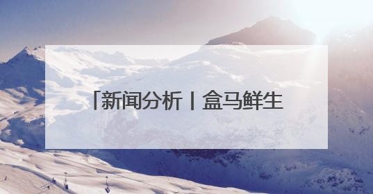 新闻分析丨盒马鲜生为何“相中”石家庄