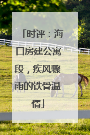 时评：海口房建公寓段，疾风骤雨的铁骨温情