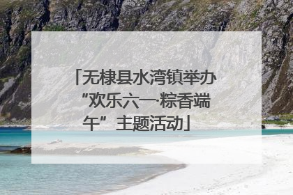 无棣县水湾镇举办“欢乐六一·粽香端午”主题活动