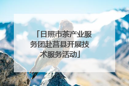 日照市茶产业服务团赴莒县开展技术服务活动