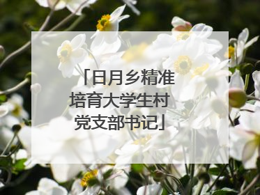 日月乡精准培育大学生村党支部书记