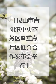 昆山市青阳港中央商务区暨重点片区推介合作发布会举行