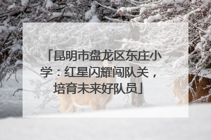 昆明市盘龙区东庄小学：红星闪耀闯队关，培育未来好队员