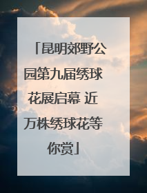 昆明郊野公园第九届绣球花展启幕 近万株绣球花等你赏
