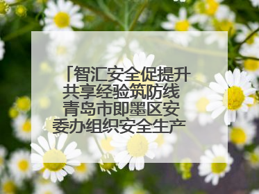 智汇安全促提升 共享经验筑防线 青岛市即墨区安委办组织安全生产共享专家现场观摩学习活动