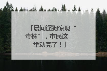 晨间遛狗惊现“毒株”，市民这一举动亮了！