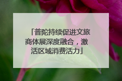 普陀持续促进文旅商体展深度融合，激活区域消费活力