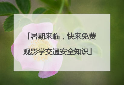 暑期来临，快来免费观影学交通安全知识