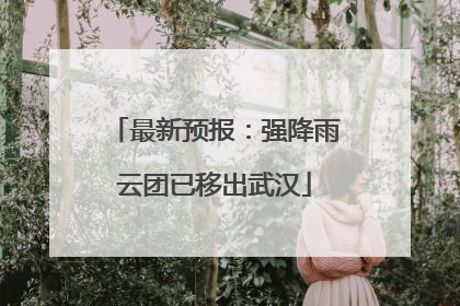 最新预报：强降雨云团已移出武汉