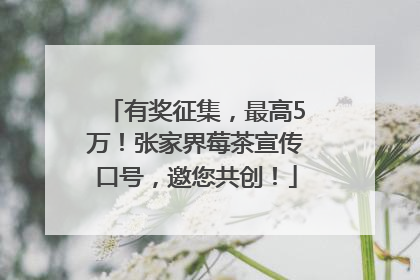有奖征集，最高5万！张家界莓茶宣传口号，邀您共创！