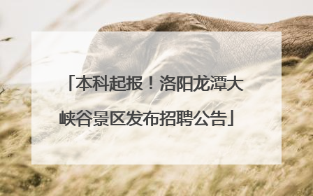本科起报！洛阳龙潭大峡谷景区发布招聘公告