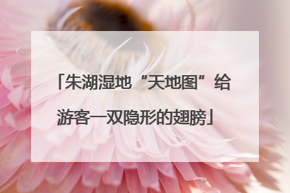 朱湖湿地“天地图”给游客一双隐形的翅膀
