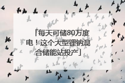 每天可储80万度电！这个大型锂钠混合储能站投产
