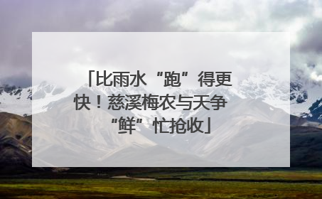 比雨水“跑”得更快！慈溪梅农与天争“鲜”忙抢收