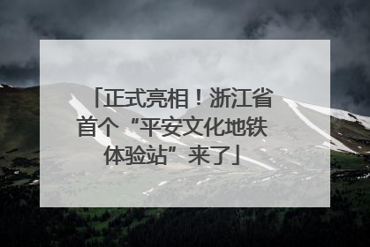 正式亮相！浙江省首个“平安文化地铁体验站”来了