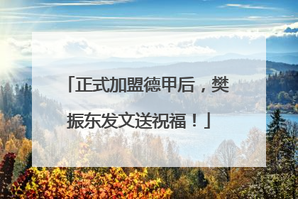 正式加盟德甲后，樊振东发文送祝福！