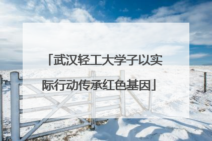 武汉轻工大学子以实际行动传承红色基因