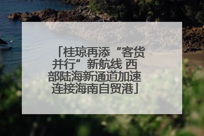 桂琼再添“客货并行”新航线 西部陆海新通道加速连接海南自贸港