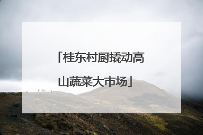 桂东村厨撬动高山蔬菜大市场