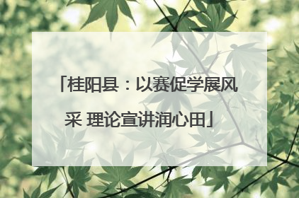 桂阳县：以赛促学展风采 理论宣讲润心田