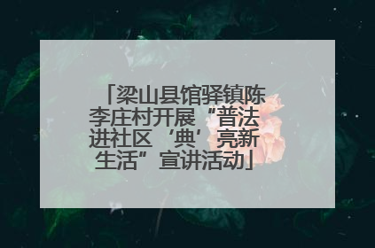 梁山县馆驿镇陈李庄村开展“普法进社区‘典’亮新生活”宣讲活动