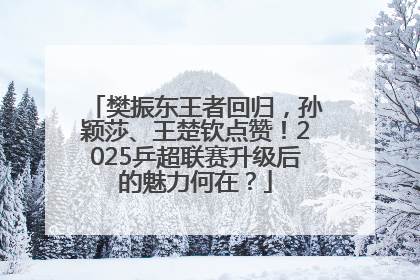 樊振东王者回归，孙颖莎、王楚钦点赞！2025乒超联赛升级后的魅力何在？