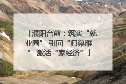 濮阳台前：筑实“就业圈” 引回“归巢雁” 激活“家经济”