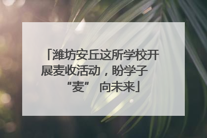 潍坊安丘这所学校开展麦收活动，盼学子 “麦” 向未来