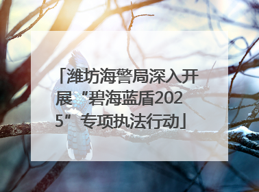 潍坊海警局深入开展“碧海蓝盾2025”专项执法行动