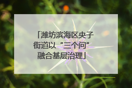 潍坊滨海区央子街道以“三个问”融合基层治理