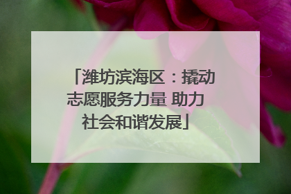 潍坊滨海区：撬动志愿服务力量 助力社会和谐发展