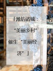 潍坊诸城：“美丽乡村”催生“美丽经济”