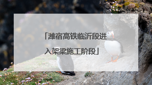 潍宿高铁临沂段进入架梁施工阶段