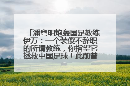 潘粤明炮轰国足教练伊万:一个装傻不辞职的所谓教练,你指望它拯救中国足球!此前曾多次发文评价国足