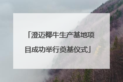 澄迈椰牛生产基地项目成功举行奠基仪式