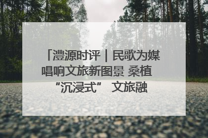 澧源时评｜民歌为媒唱响文旅新图景 桑植 “沉浸式” 文旅融合的破圈启示